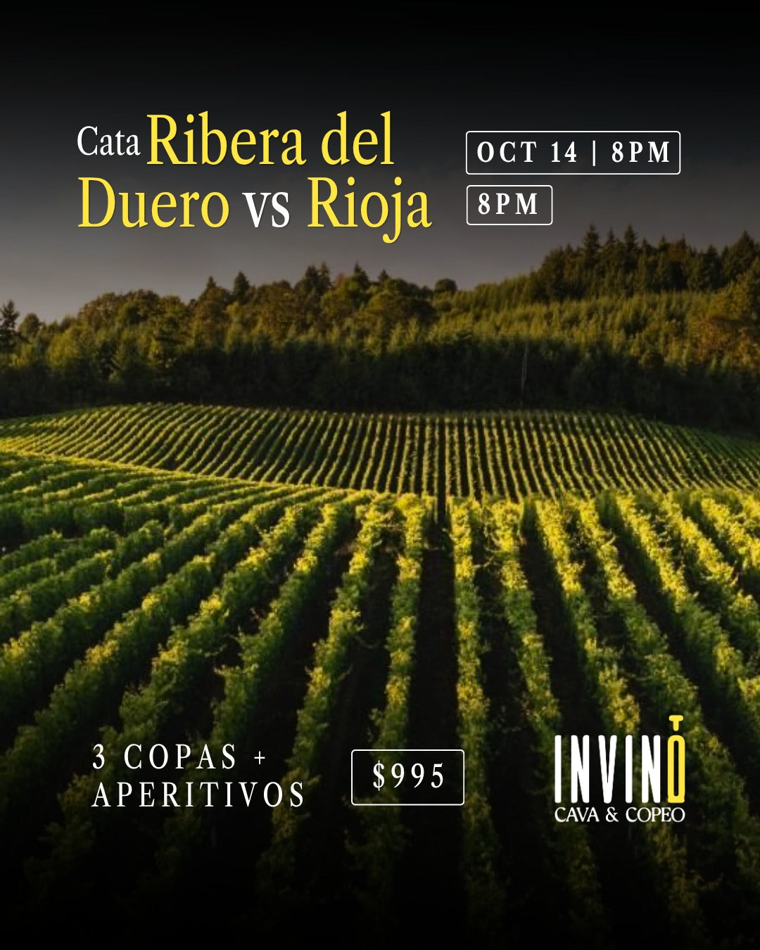 Cata: Ribera del Duero vs Rioja