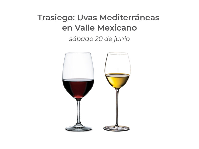 Trasiego: Uvas Mediterráneas en Valle Mexicano