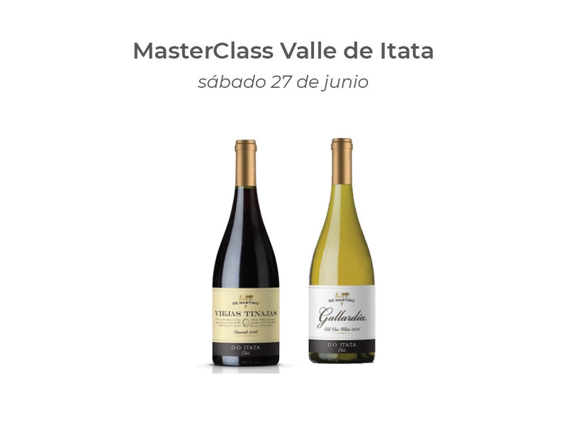 Master Class: Valle de Itata