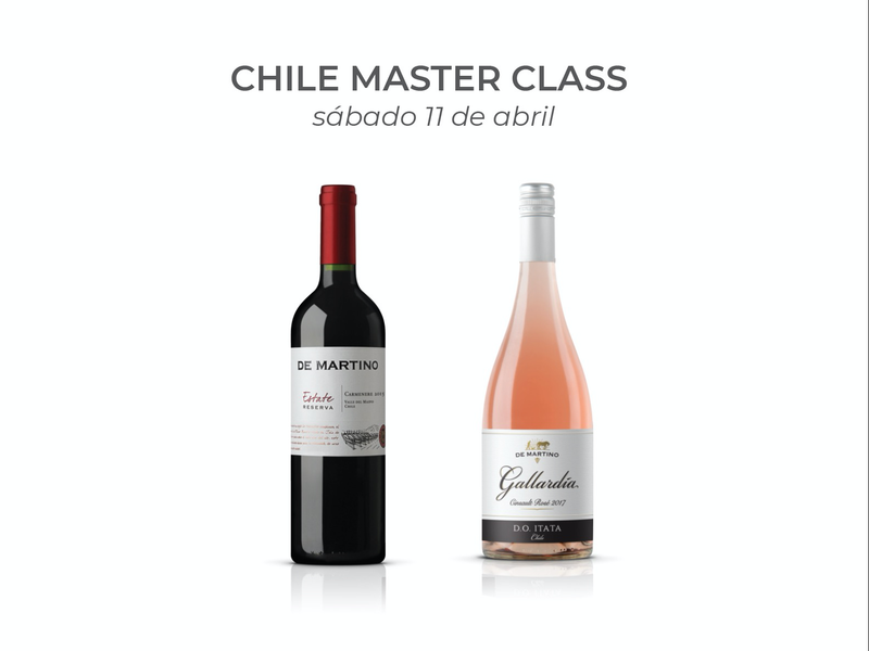 Master Class - Chile: Un Vino Tinto + Un Vino Rosado