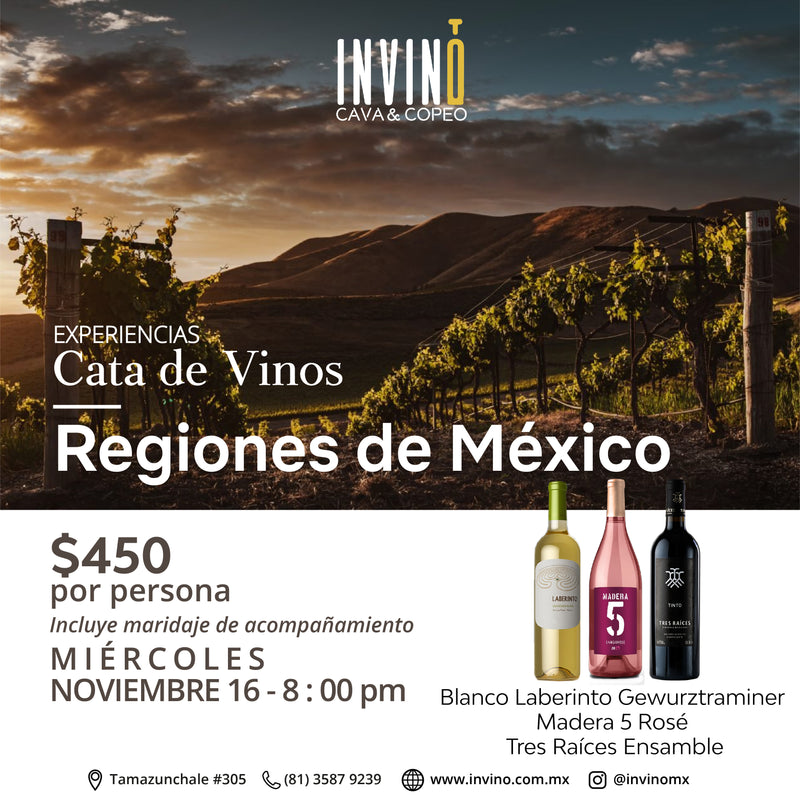 Cata de Vino: Regiones de México